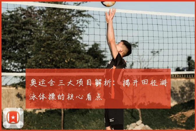 奥运会三大项目解析:揭开田径游泳体操的核心看点