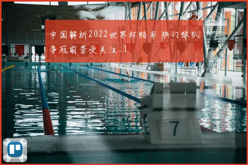 中国解析2022世界杯赔率 热门球队争冠前景受关注_1