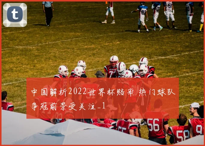 中国解析2022世界杯赔率 热门球队争冠前景受关注_1