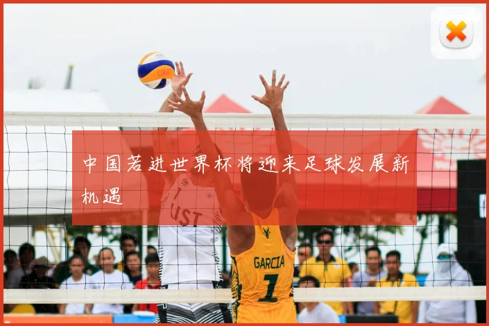 中国若进世界杯将迎来足球发展新机遇